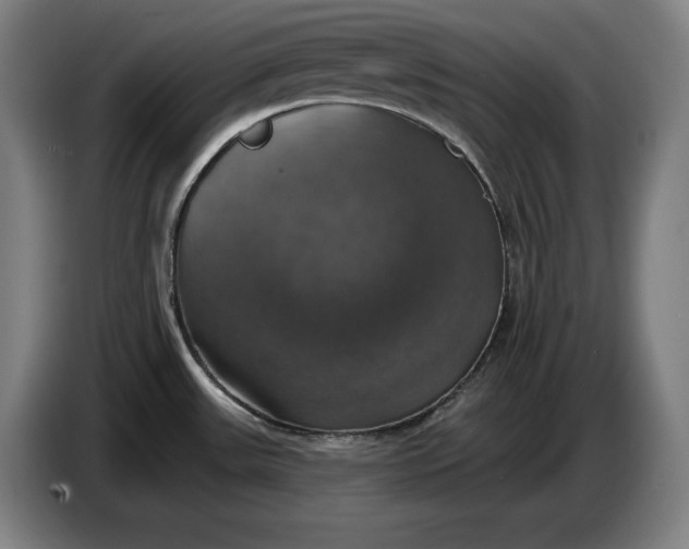 X0000087411531200705041238