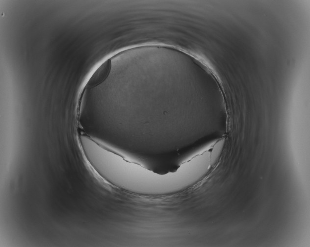 X0000087411532200705041238
