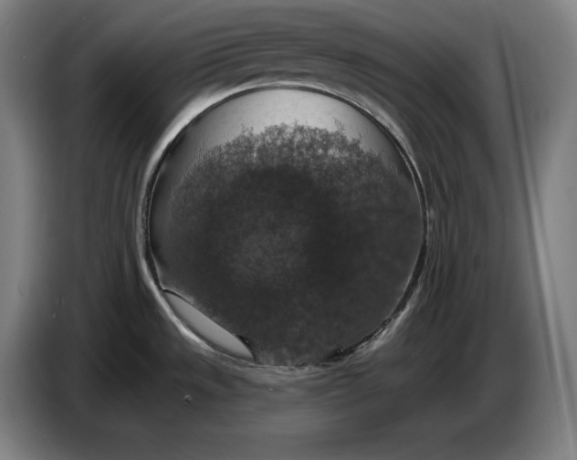 X0000087411533200705041238