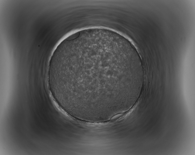 X0000087411534200705041238