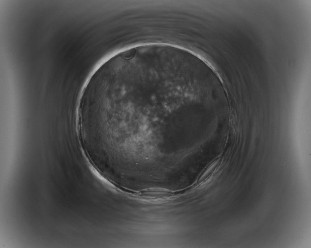 X0000087411535200705041238