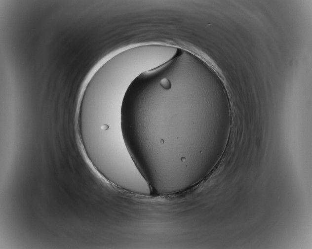 X0000087411536200705041238