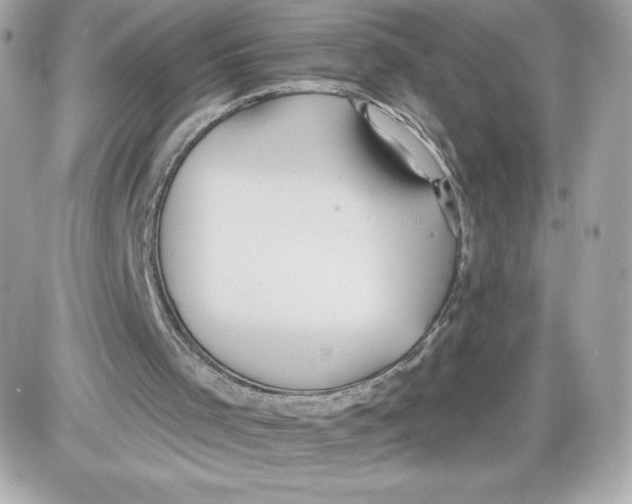 X0000087410001200705111903