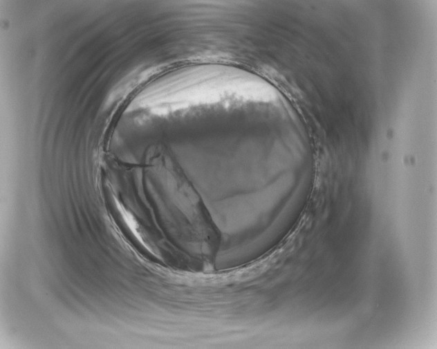 X0000087410002200705111903