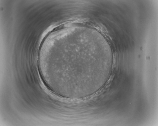 X0000087410003200705111903