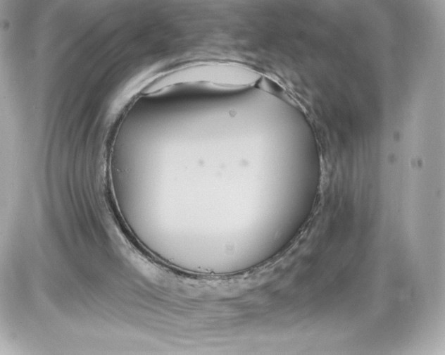 X0000087410005200705111903