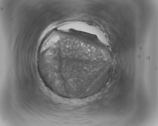 X0000087410006200705111903