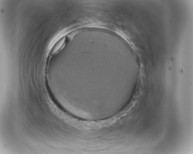 X0000087410007200705111903