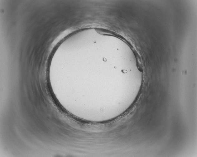 X0000087410008200705111903