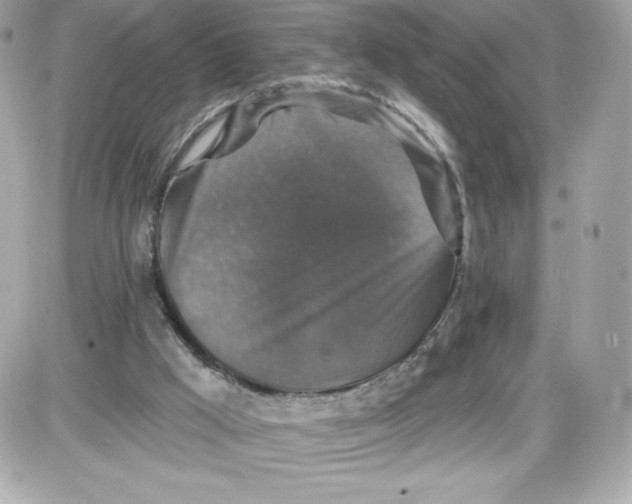 X0000087410009200705111903