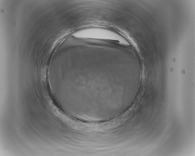 X0000087410010200705111903