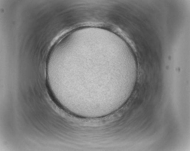 X0000087410011200705111903