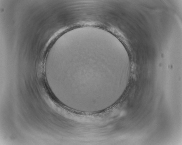 X0000087410012200705111903