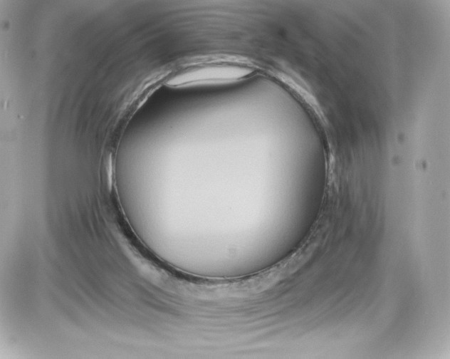 X0000087410013200705111903