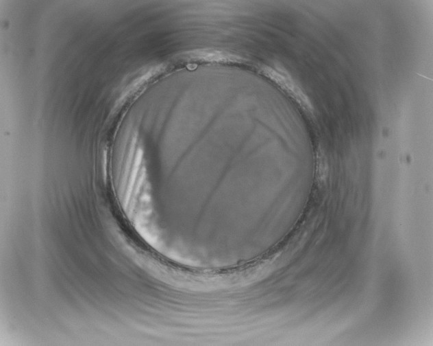 X0000087410014200705111903