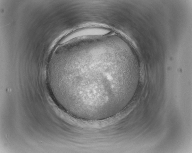 X0000087410015200705111903