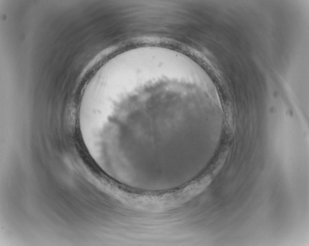 X0000087410016200705111902