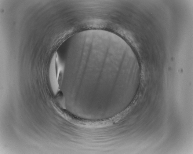 X0000087410017200705111902