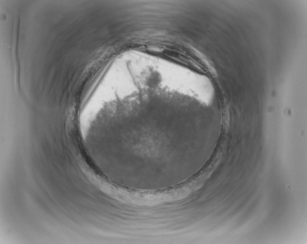 X0000087410018200705111902