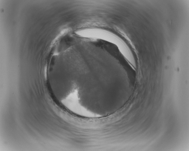 X0000087410019200705111902