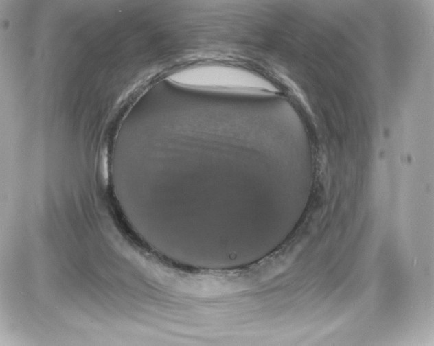 X0000087410020200705111902