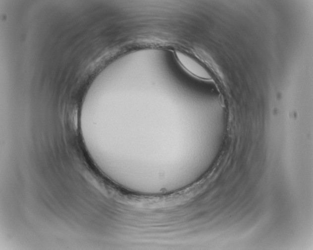 X0000087410021200705111902