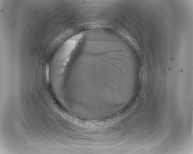 X0000087410022200705111902