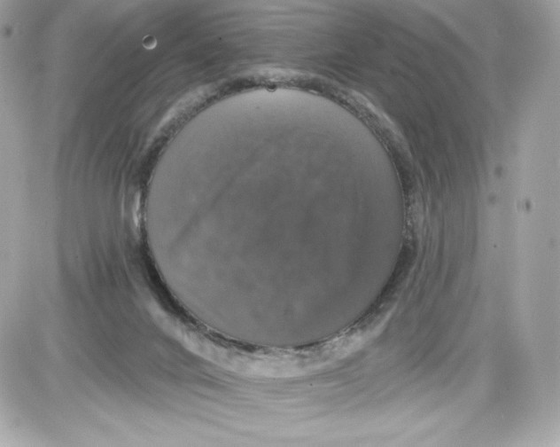 X0000087410024200705111902