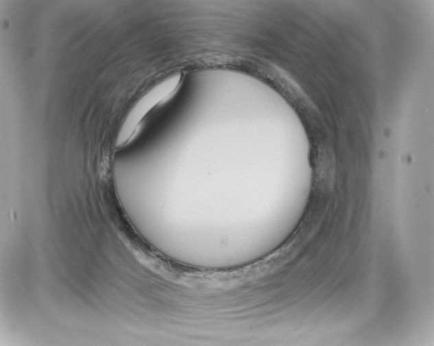 X0000087410025200705111902