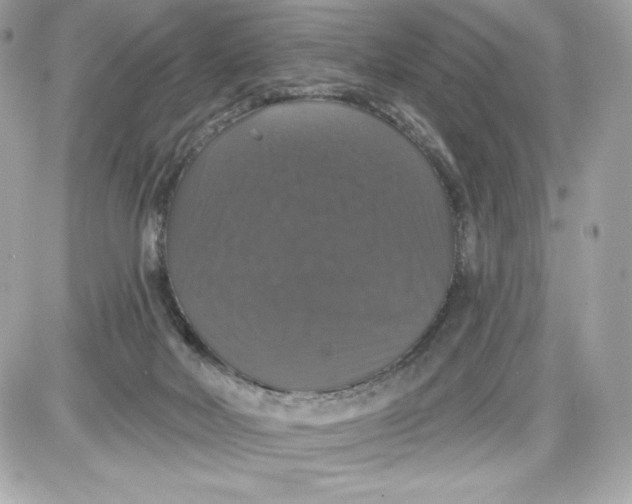 X0000087410026200705111902