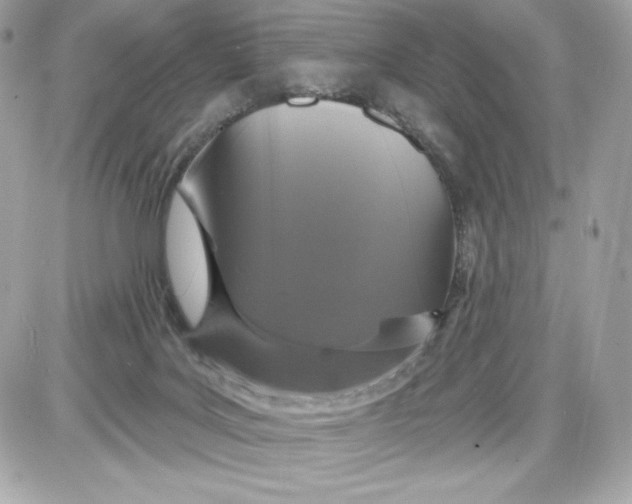 X0000087410027200705111902