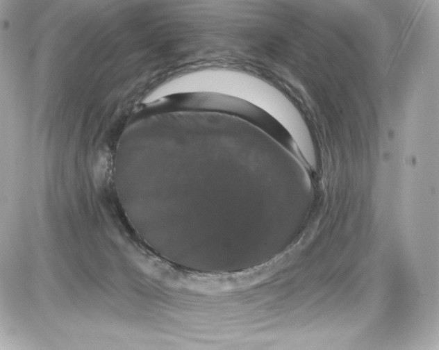 X0000087410029200705111902