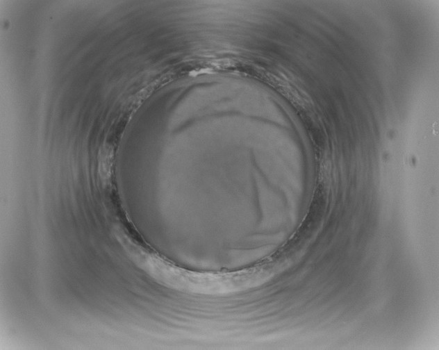 X0000087410030200705111902