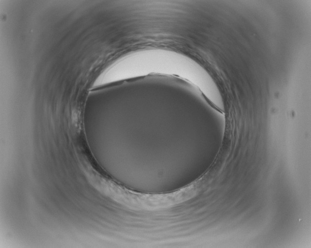 X0000087410031200705111902