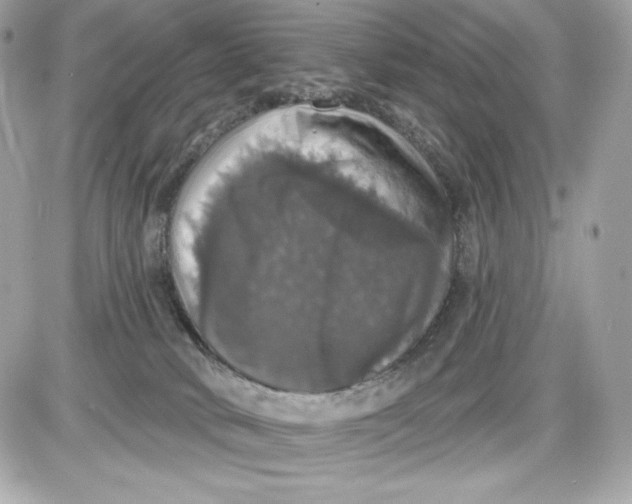 X0000087410034200705111902