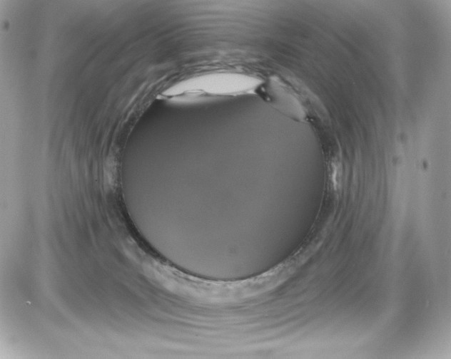 X0000087410035200705111902