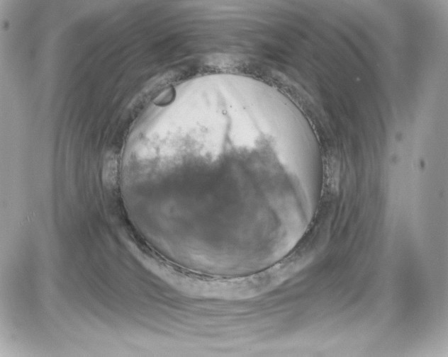 X0000087410036200705111902