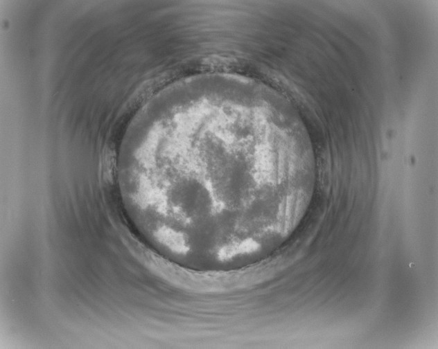 X0000087410038200705111902