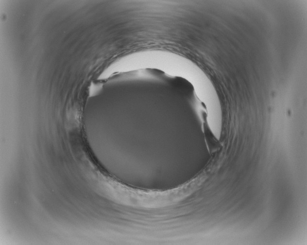 X0000087410039200705111902