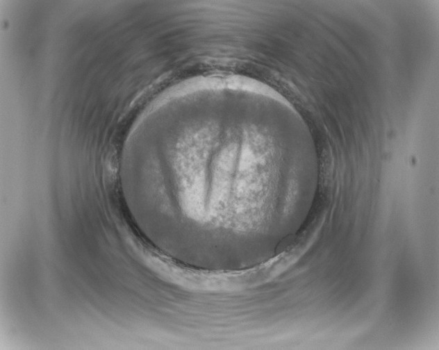 X0000087410040200705111902