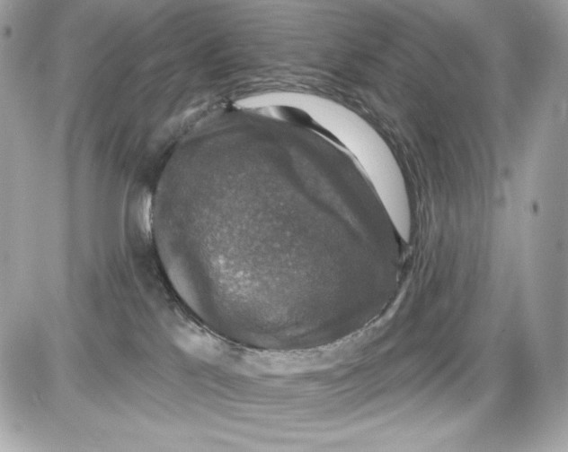 X0000087410041200705111902