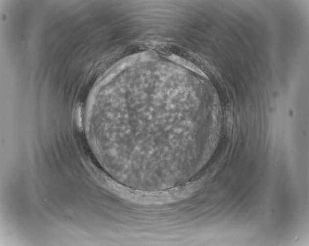 X0000087410042200705111902