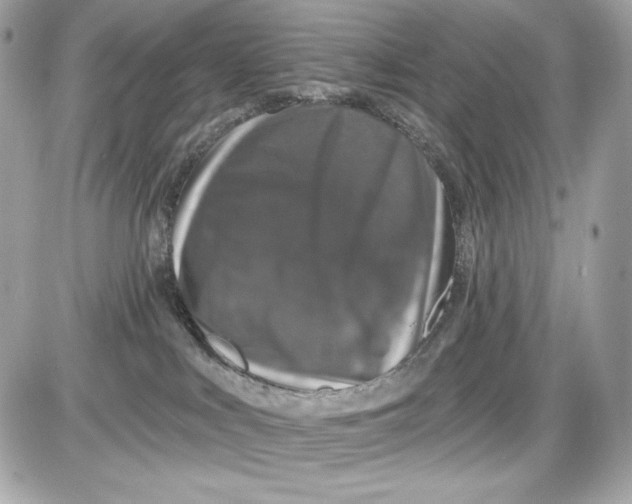 X0000087410043200705111902