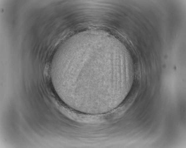 X0000087410044200705111902