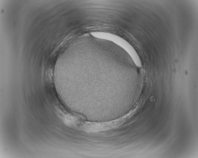 X0000087410045200705111902