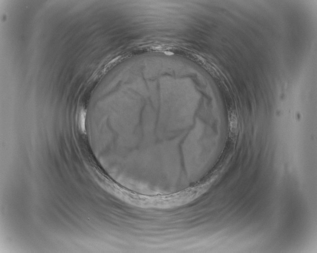 X0000087410046200705111902