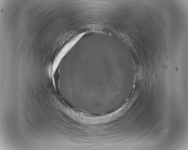 X0000087410047200705111902