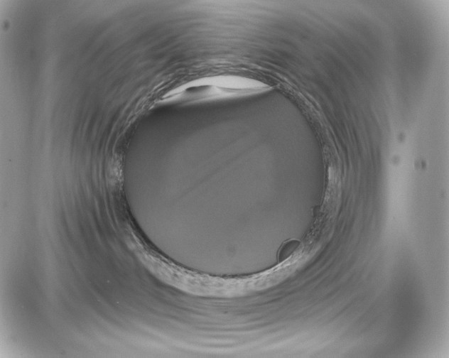 X0000087410048200705111902