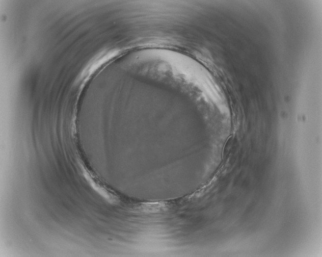 X0000087410050200705111901