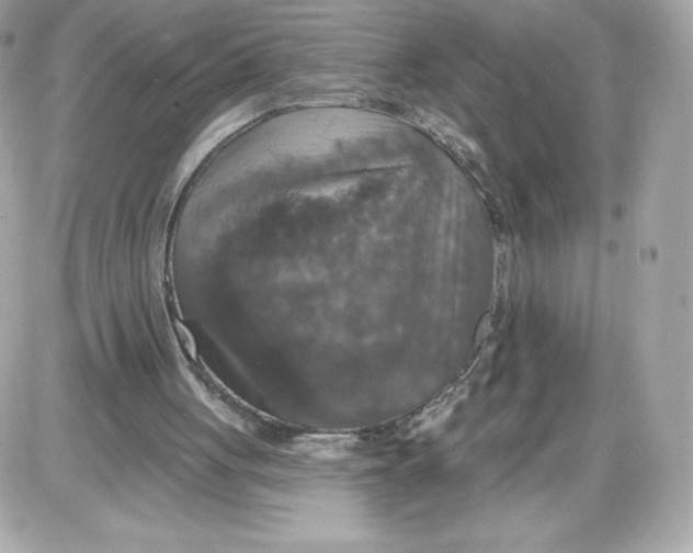 X0000087410051200705111901